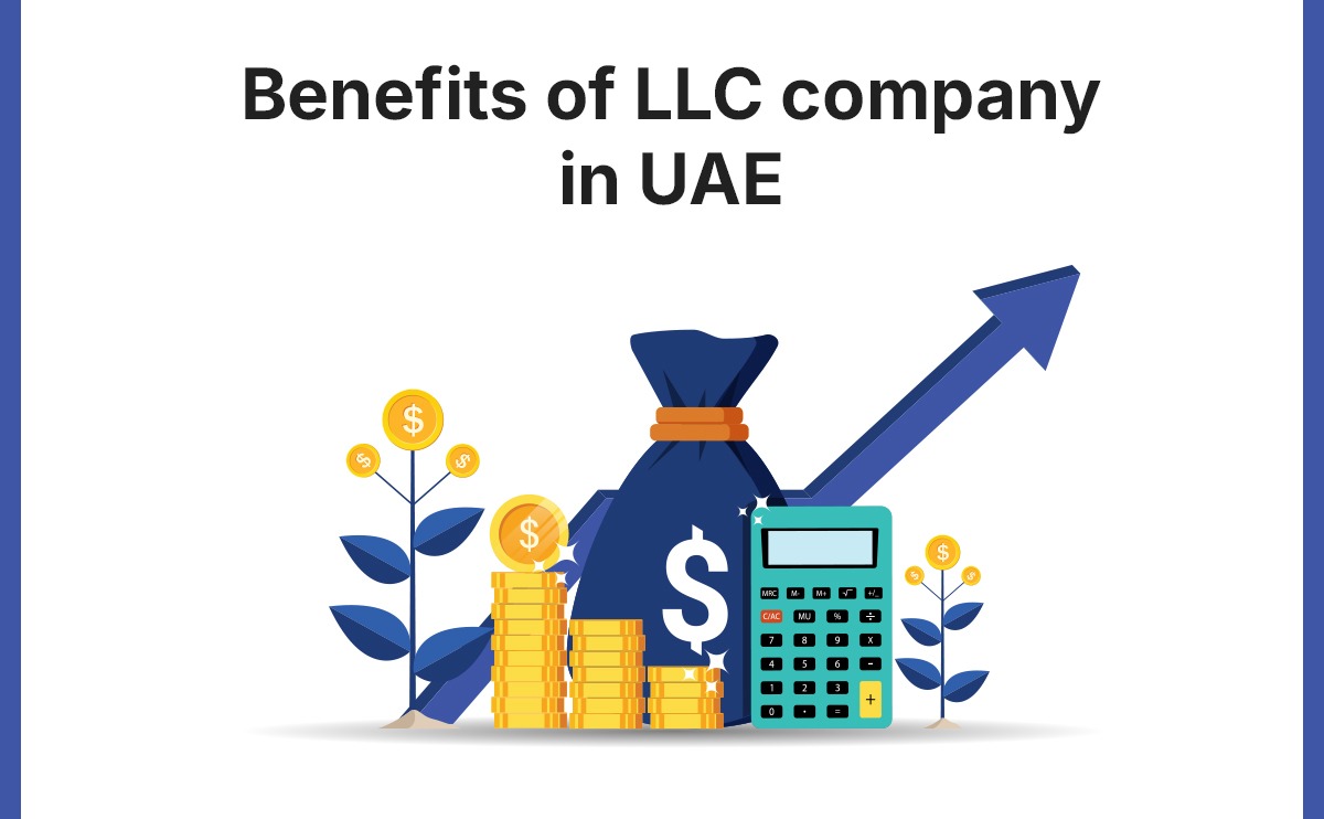 Difference between LLC and sole establishment in Dubai